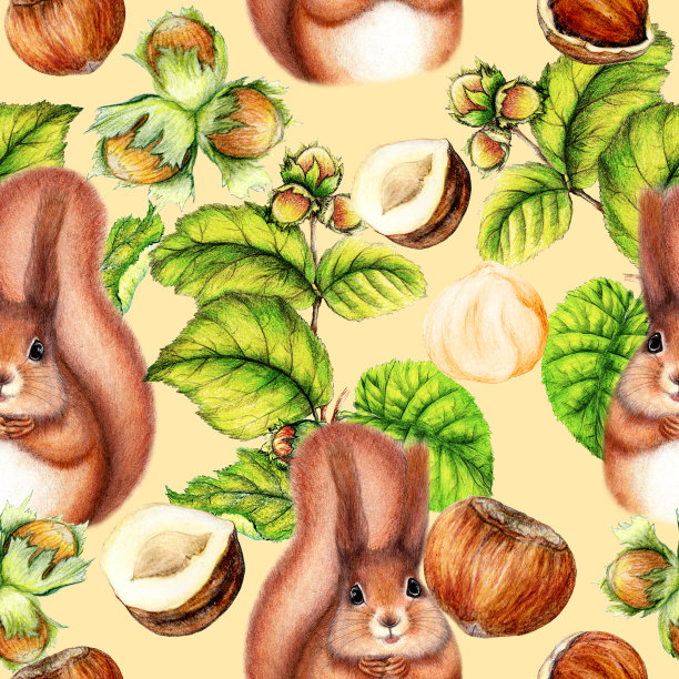 植物无缝图案手绘松鼠，榛子图片下载
