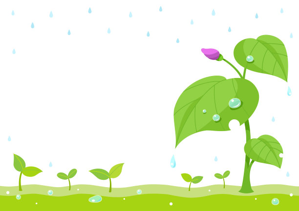 春芽和雨天的背景图片下载