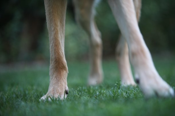 脚踏实地图片下载