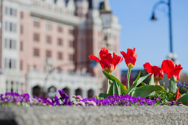 标志性的维多利亚图片下载