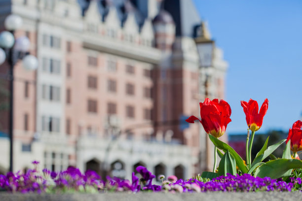 标志性的维多利亚图片下载