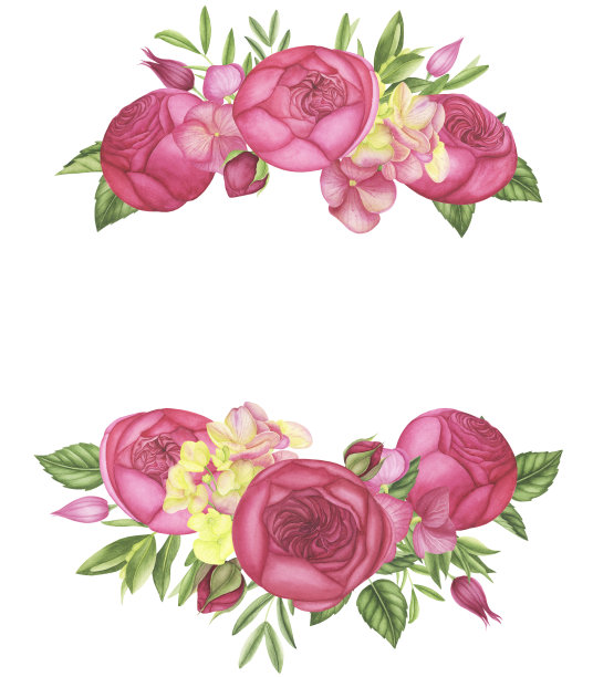 配以红玫瑰、绣球花、树叶、水彩画。图片下载