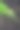 木槿分支图片下载