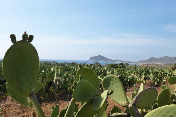 加塔角海滩图片下载