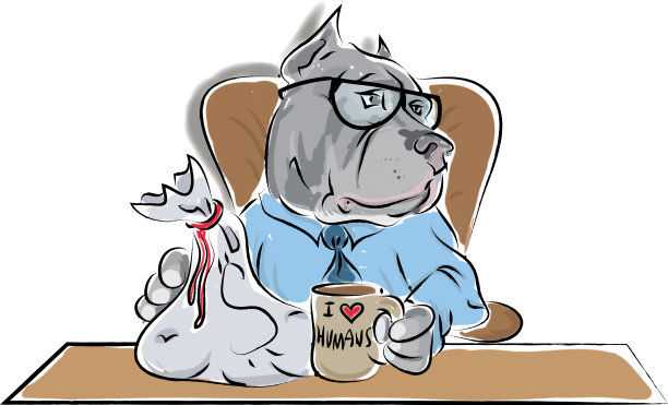 比特犬老板图片下载