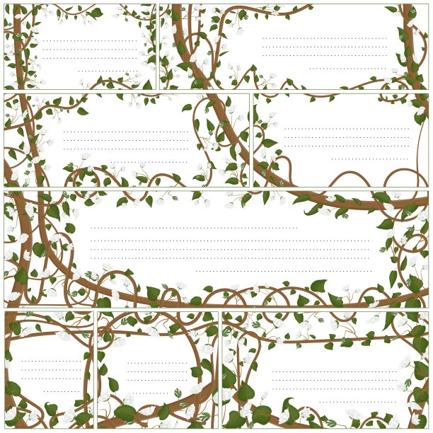 一套问候卡，名片在同一风格与植物装饰与植物元素猕猴桃。绿色的叶子，白色的花，细长的茎呈藤本植物的形状。图片下载