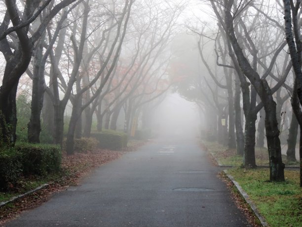 11月。有雾的筑波早晨图片下载