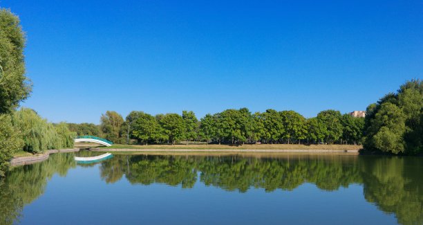 城市公园的夏天图片下载