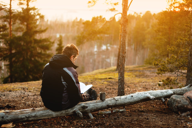 一个人坐在森林里的一棵树上看书。杯子附近。日落。背景模糊图片下载