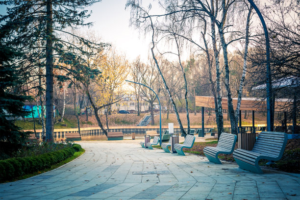 秋季公园有桦树和冷杉树。沿着空石凳通往池塘的小路图片下载