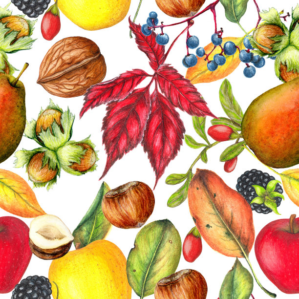 果实、果仁、叶的秋纹无缝衔接图片下载