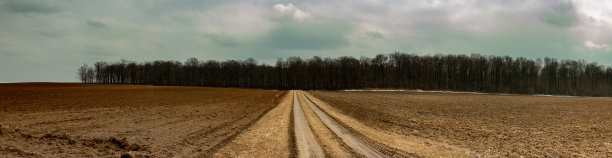 在加拿大安大略省拍摄的休耕地全景照片。这是未种植的农田图片下载