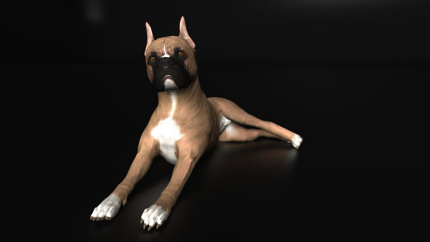 拳击手狗看向一边，而躺在地面3d渲染图片下载