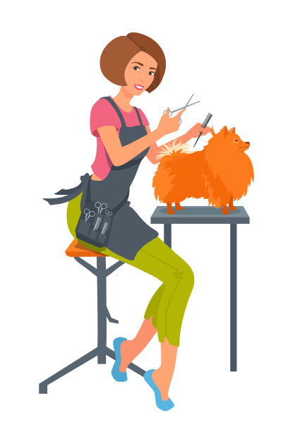 狗美容师。女孩给狗梳头。工作中的宠物造型师。图片下载