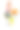 狗美容师。女孩给狗梳头。工作中的宠物造型师。图片下载