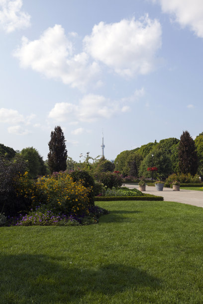 多伦多岛图片下载