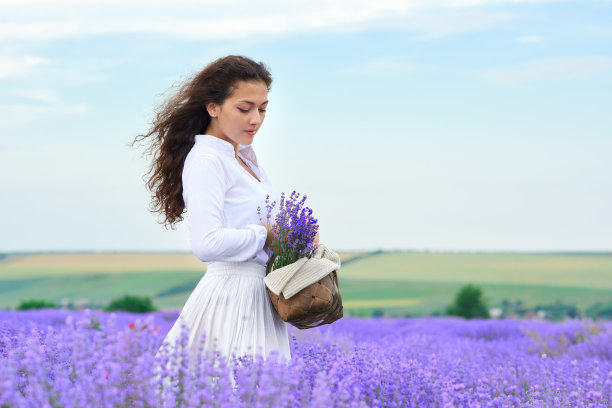 年轻女子是在薰衣草花圃里，美丽的夏日风景图片下载