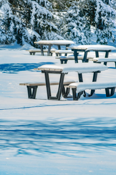 冬天的野餐图片下载