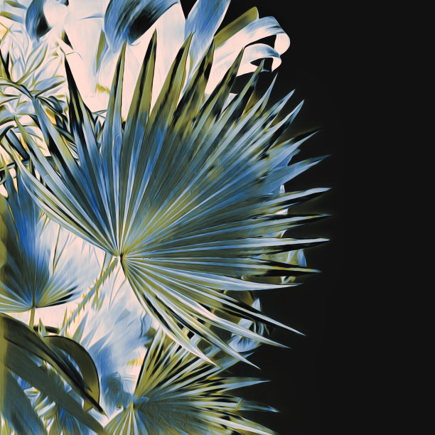 热带树叶，手绘异域风情图案。图片下载