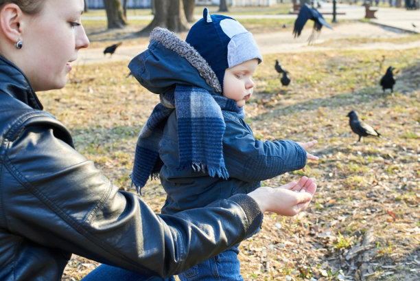 早春时节，一个孩子从妈妈手里拿南瓜籽喂公园里的鸟儿图片下载