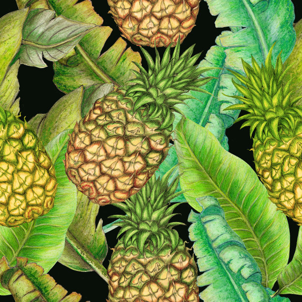无缝植物格局的菠萝，热带植物素材图片