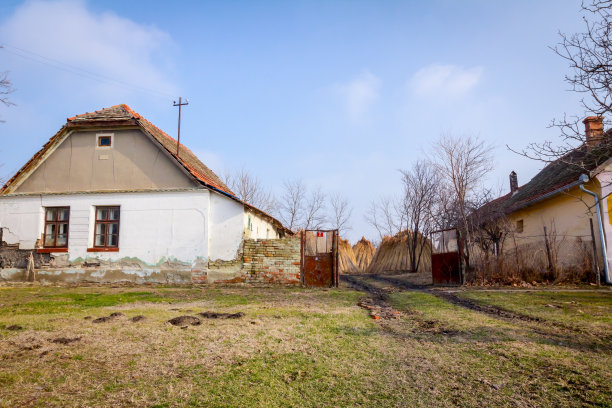 收获后，捆成捆的干芦苇和废弃的旧房子在农家院子里图片下载