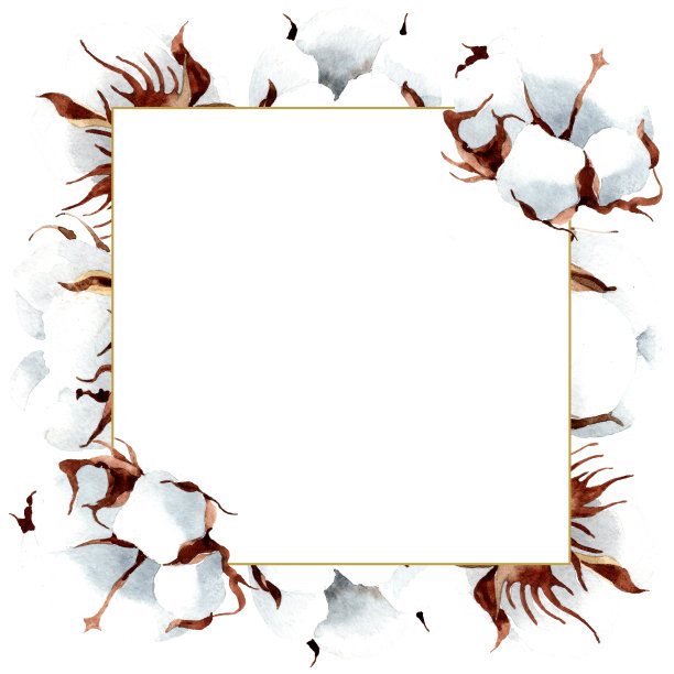 棉花花卉植物的花。水彩画时尚孤立水彩画。边框装饰方形。素材图片