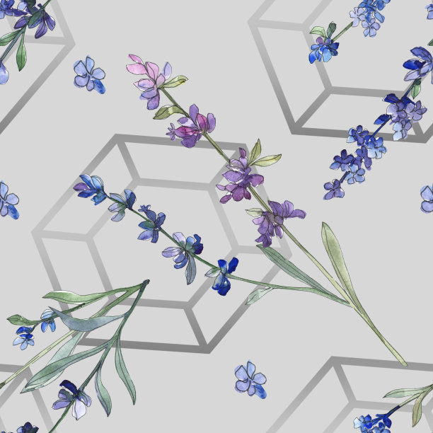 紫色的薰衣草。花卉植物的花。水彩背景插图集。无缝的背景图案。素材图片