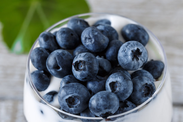 成熟的蓝莓配酸奶图片下载