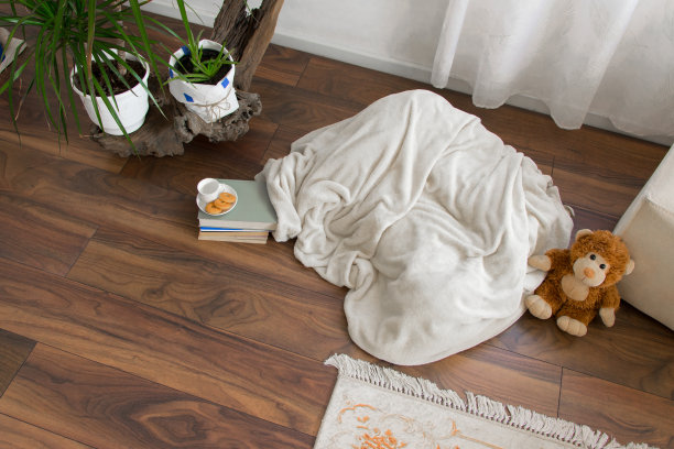 俯视图当代室内生活空间图片下载