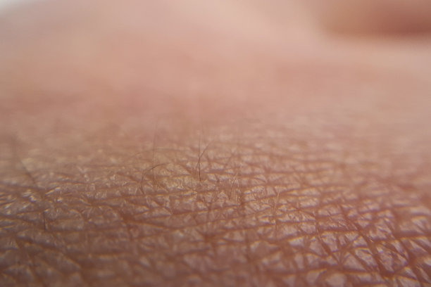 人类手部的宏观皮肤图片下载