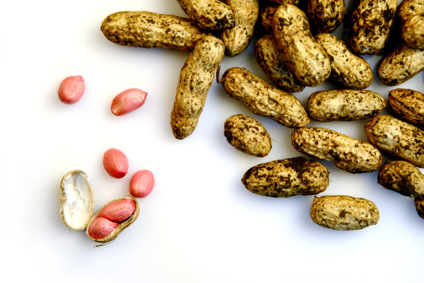 花生散落在白色的背景上图片下载