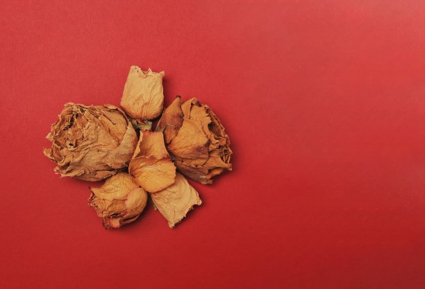 用于婚礼或家庭相册的纸卡片，框架上有孤立在红粉色背景上的金色干花。平躺，俯视视图图片下载