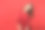 迷人的性感的年轻女人的肖像在蕾丝连衣裙站着和看相机孤立在明亮的红色墙壁背景在工作室。人真诚情感，生活理念。模拟拷贝空间。图片下载