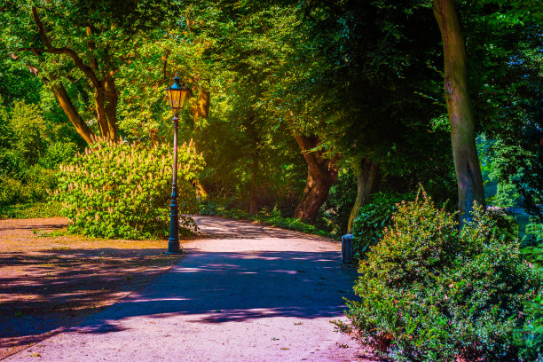 公园里的灯笼。背景图片图片下载