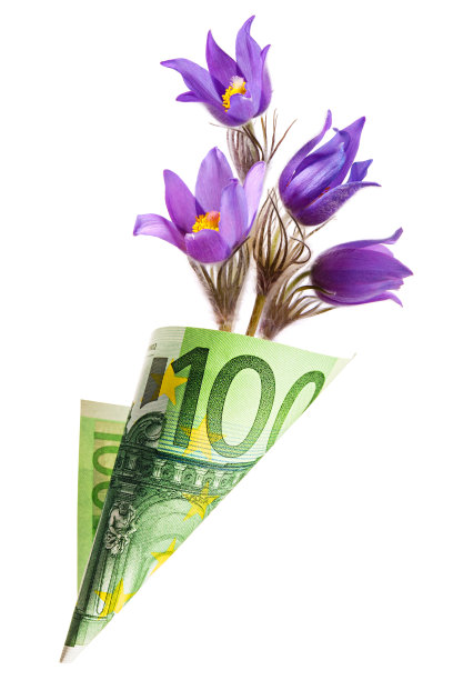 一百欧元的纸钱袋，白色背景上孤立的雪花莲花图片下载