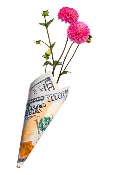 纸钱袋的一百美元与粉红色的大丽花孤立在白色的背景图片下载