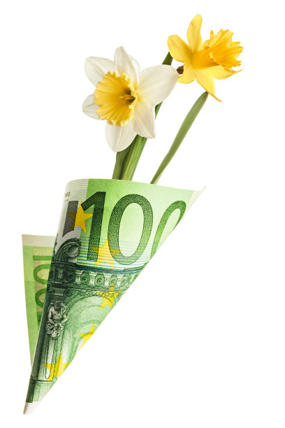 一百欧元的纸袋，上面有两朵水仙花，孤立在白色的背景上图片下载