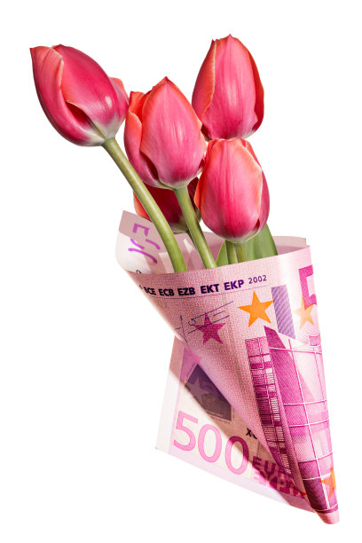 有趣的礼物，一束用500欧元包裹的红色郁金香花图片下载