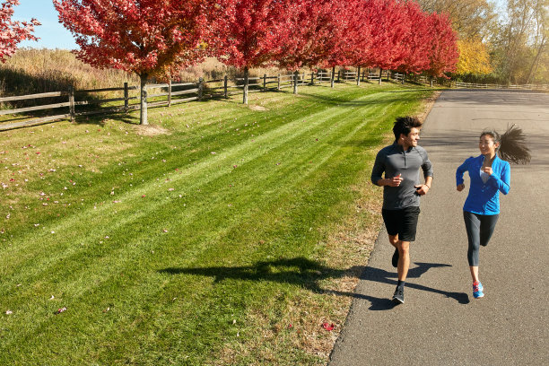 有个伴侣会让这段旅程变得轻松图片下载