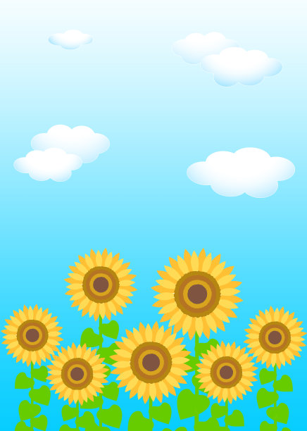 背景材质模板:蓝天白云向日葵图片下载