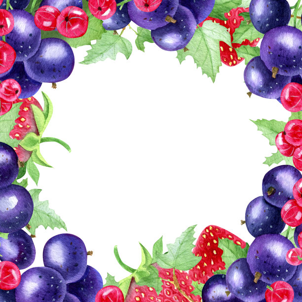 甜蜜夏日浆果图片下载