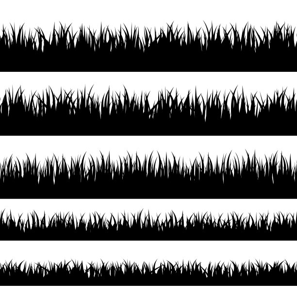草的剪影。草坪涂层旗帜镶边和覆盖。图片下载