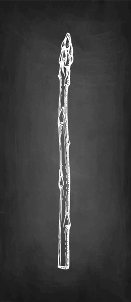 芦笋的粉笔素描。图片下载