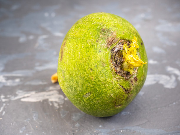 新鲜的绿色萝卜在灰色斑点的背景图片下载