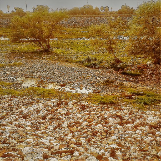 大自然在寂静中闪耀着金色图片下载