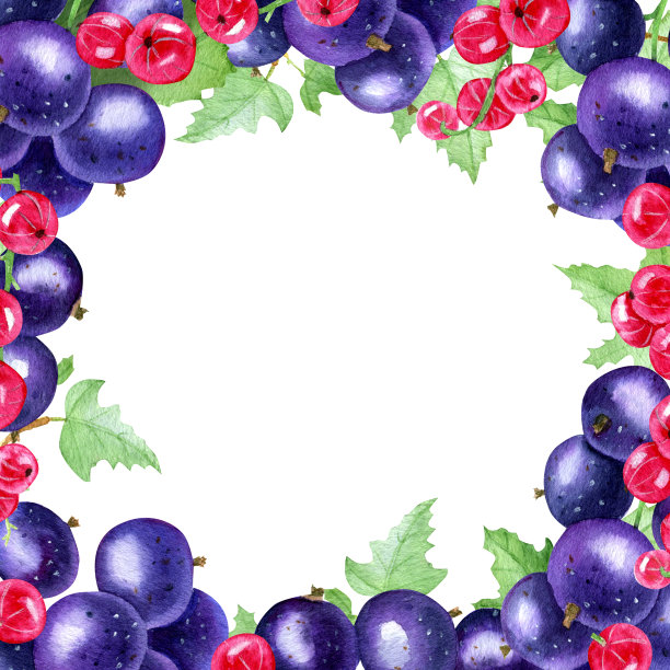 甜蜜夏日浆果图片下载