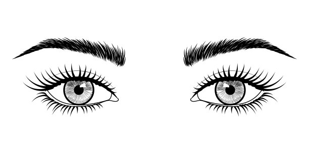 向量黑色和白色手绘的眼睛与眉毛和长睫毛的形象图片下载