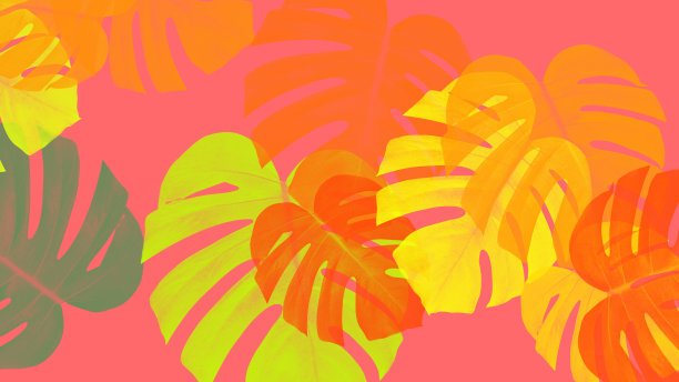 怪兽色彩抽象艺术背景图片下载