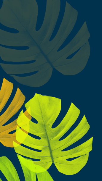 怪兽色彩抽象艺术背景图片下载